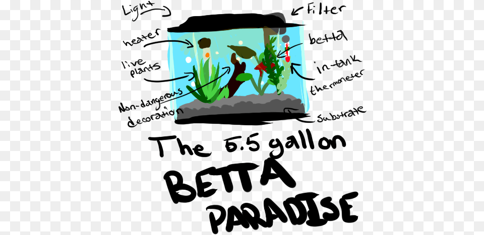 Why Do I Need A 55 Gallon Planted Betta Tank, Animal, Aquarium, Aquatic, Fish Free Png Download