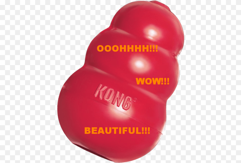 Why Dogs Love Kongs And You Should Too U2014 Praiseworthy Pets Balloon Free Png