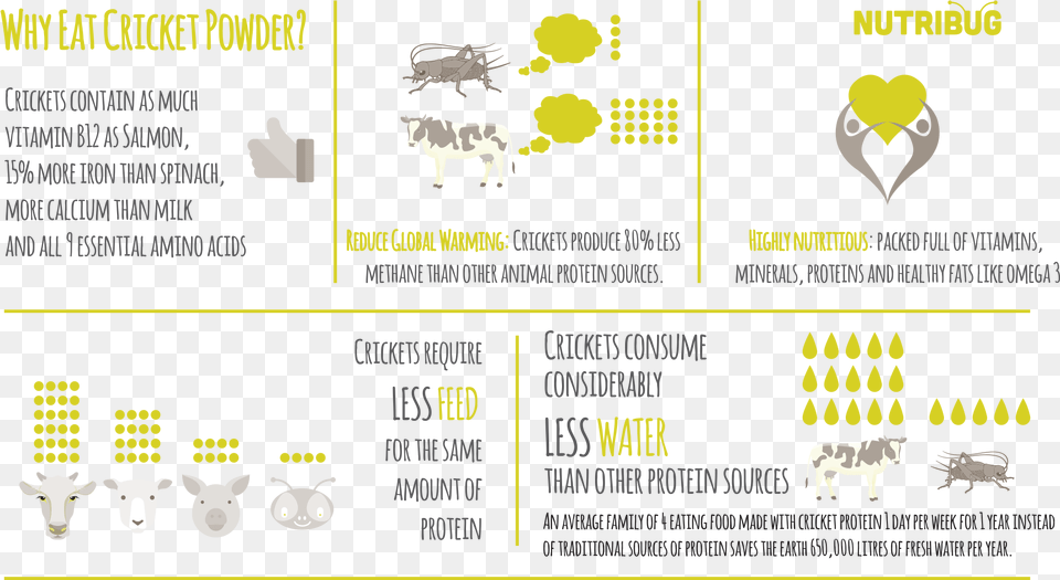 Why Eat Cricket Powder Graphics, Livestock, Animal, Mammal, Cattle Free Transparent Png