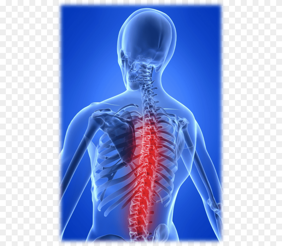 Why Is Long Passive Sitting So Bad For Our Spine Spine Safe Moving Handling, Adult, Male, Man, Person Png