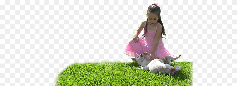 Why People On The Grass, Lawn, Plant, Clothing, Dress Png