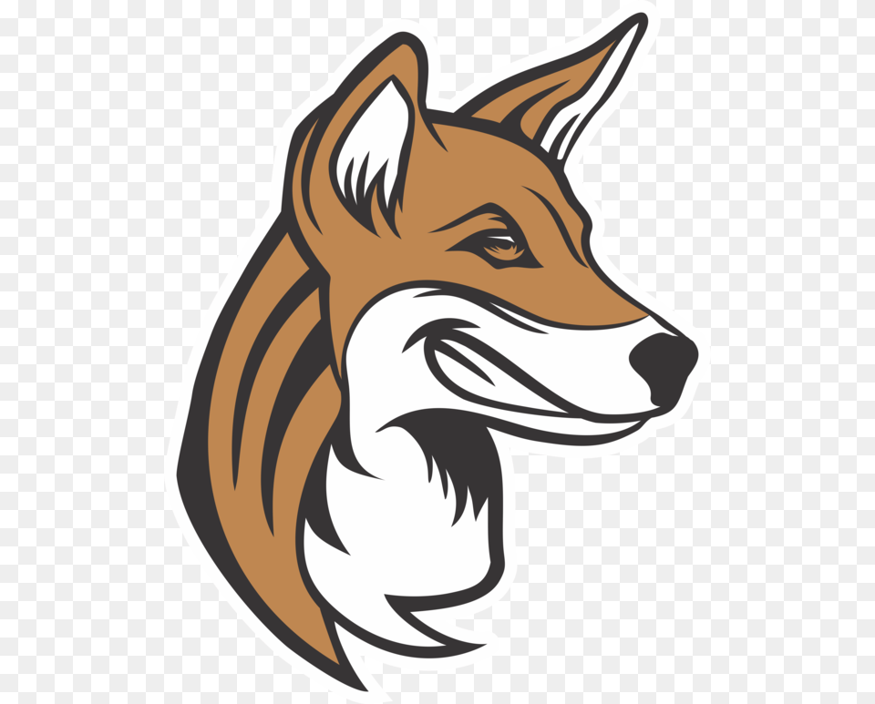 Why The Dingo Red Fox, Person, Animal, Coyote, Mammal Png Image