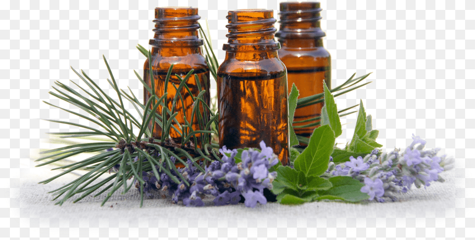 Why Use A Certified Aromatherapist Aromatherapy, Flower, Herbal, Herbs, Plant Free Transparent Png