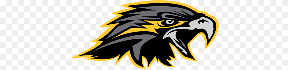 Wichita Falls Nighthawks, Animal, Beak, Bird, Eagle Free Transparent Png