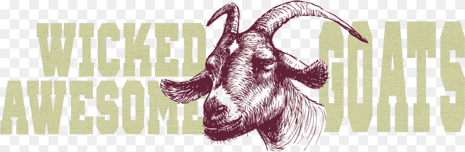 Wicked Awesome Goats Stubborn Goat Free Png