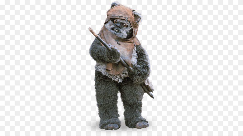 Wicket Wystri Warrick Ewok Star Wars, Teddy Bear, Toy, Face, Head Free Png