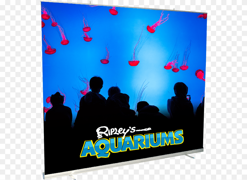 Wide Retractable Banner Stand, Animal, Aquarium, Water, Sea Life Free Transparent Png