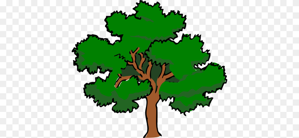 Wide Tree Clipart Clip Art, Oak, Plant, Sycamore, Green Png Image
