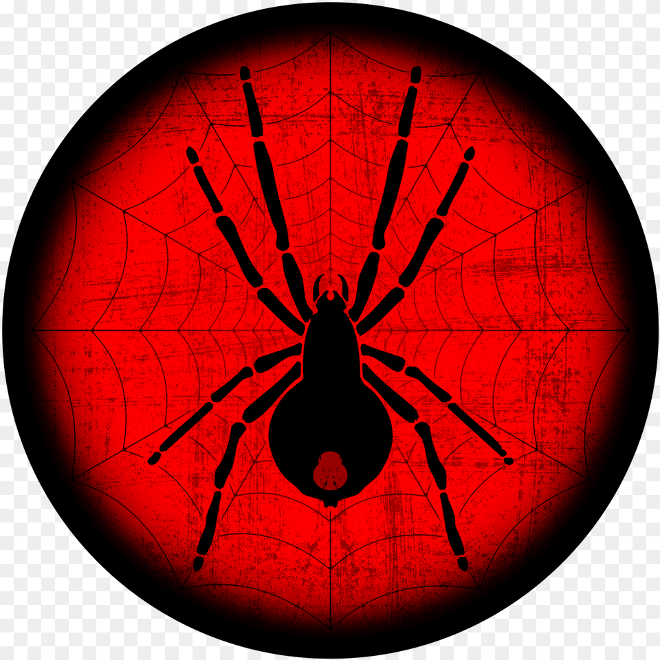 Widow Spiders, Animal, Invertebrate, Spider Free Png Download