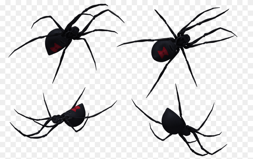 Widow Spiders Clip Art, Animal, Invertebrate, Spider, Black Widow Free Png Download