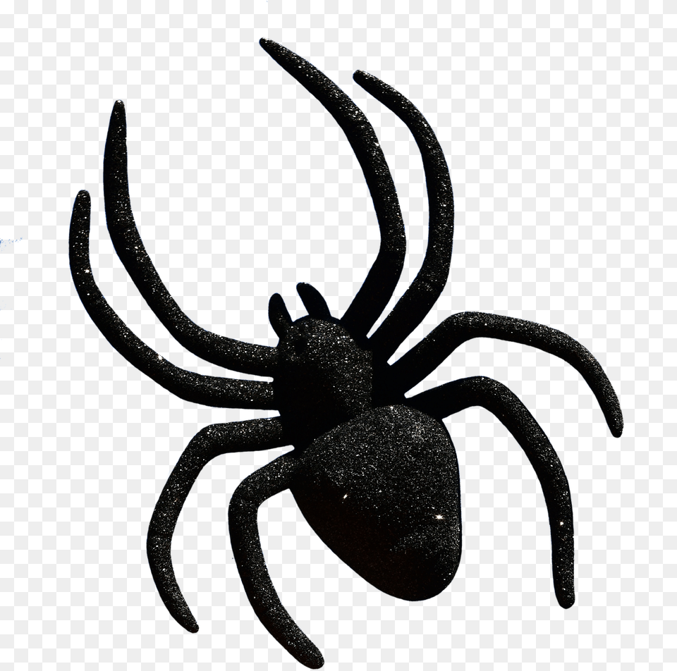 Widow Spiders Halloween Clip Art Image, Animal, Invertebrate, Spider Free Png Download