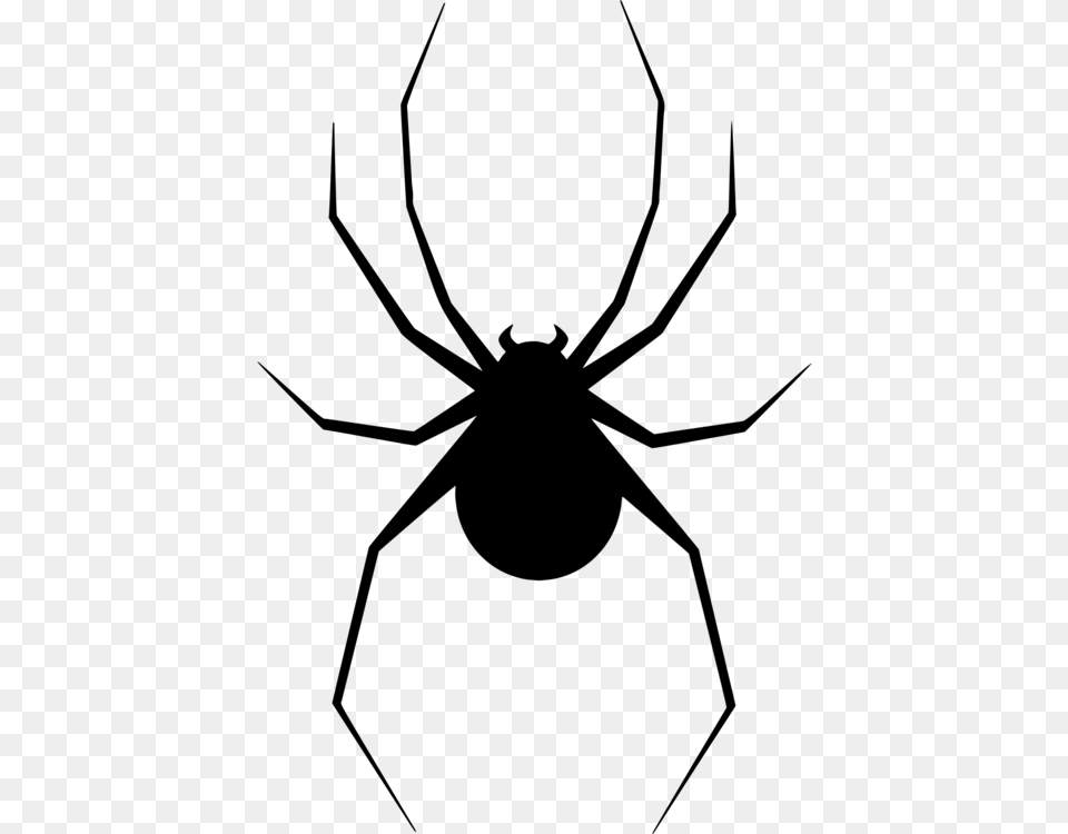 Widow Spiders Silhouette Spider Web Arthropod, Gray Free Transparent Png