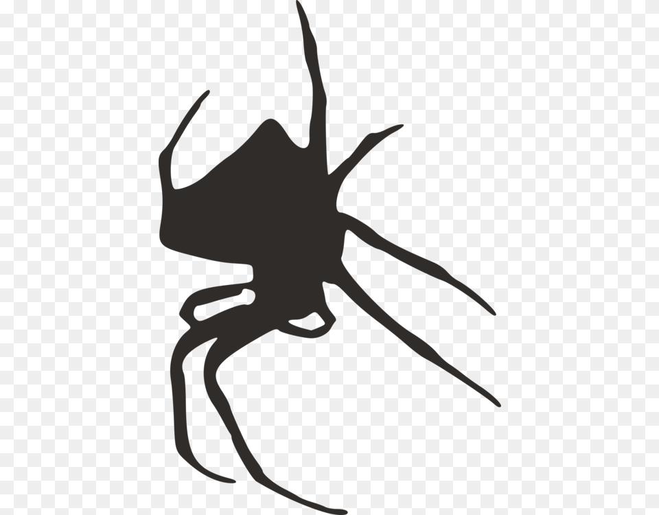 Widow Spiders Silhouette Spider Web Download, Person, Animal, Invertebrate Free Transparent Png