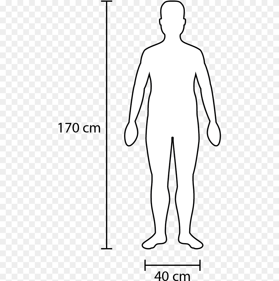 Width And Height Of A Fairly Average Adult Person In Scale, Silhouette, Male, Man Free Png Download