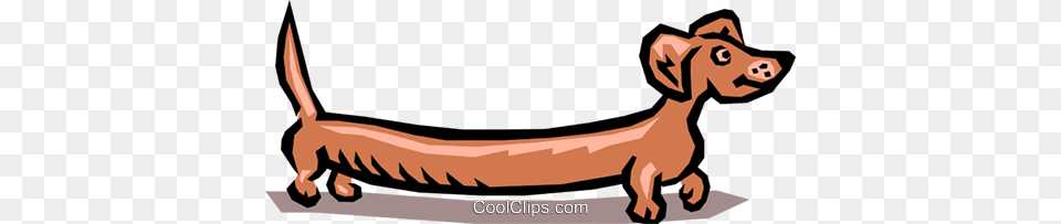 Wiener Dog Royalty Vector Clip Art Illustration, Animal, Fish, Sea Life, Shark Png
