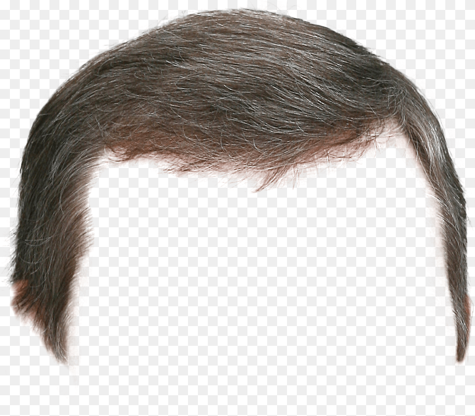 Wig, Face, Head, Person, Adult Free Transparent Png