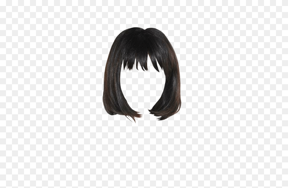 Wig, Black Hair, Hair, Person, Adult Free Png Download