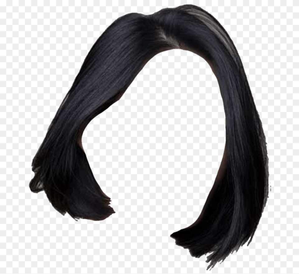 Wig, Black Hair, Hair, Person, Adult Png Image