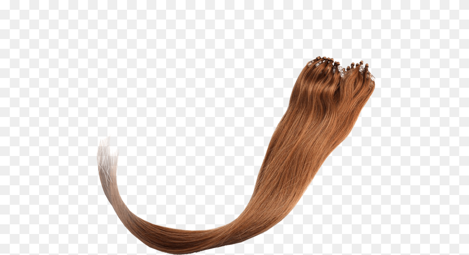 Wig, Wood, Smoke Pipe, Head, Person Free Transparent Png