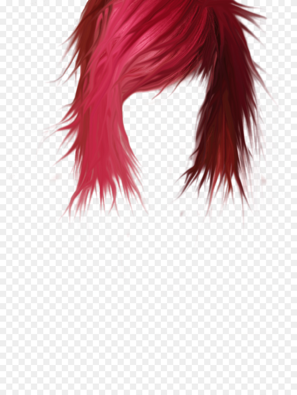 Wig, Woman, Person, Female, Adult Png