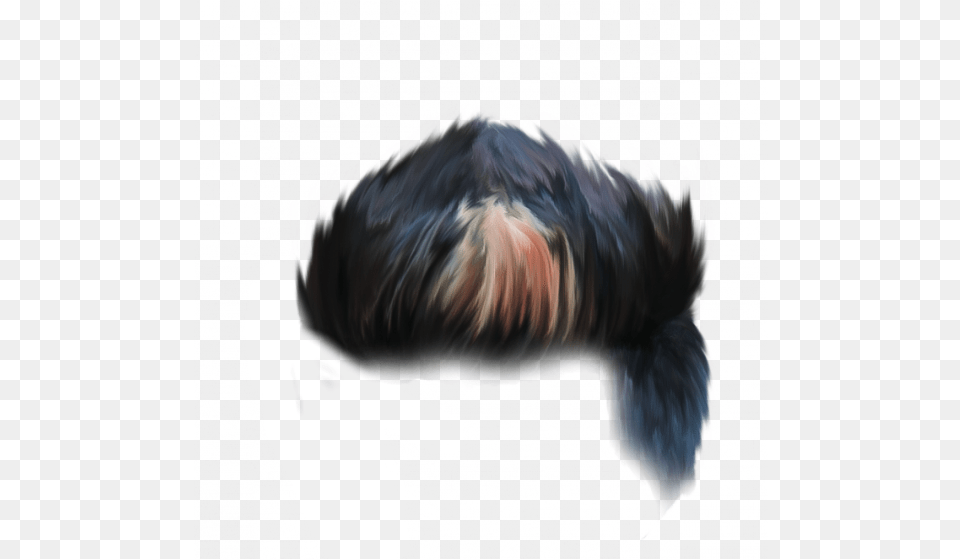 Wig, Animal, Bird, Accessories Png Image