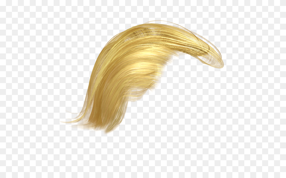 Wig, Hair, Person, Blonde, Animal Png Image