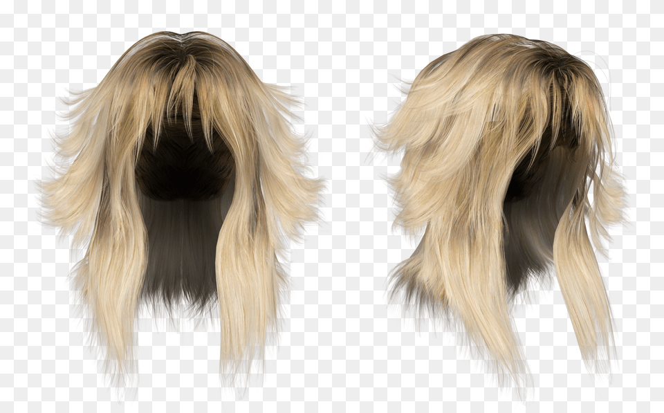 Wig, Adult, Female, Person, Woman Free Png Download