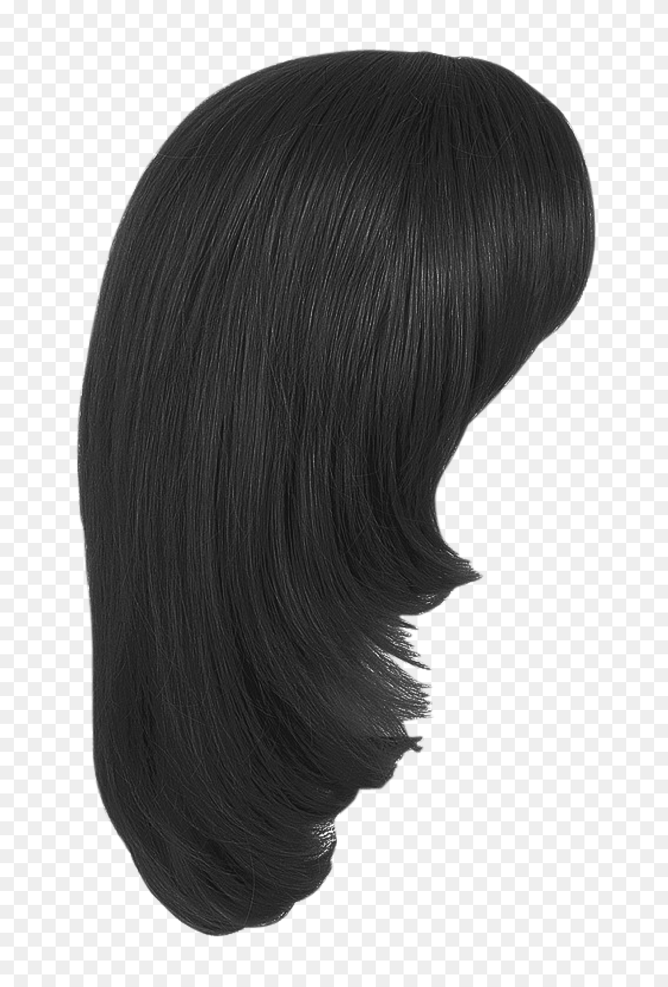 Wig, Adult, Black Hair, Female, Hair Free Png