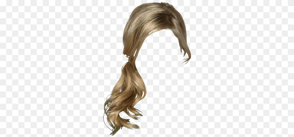 Wig, Adult, Female, Hair, Person Png