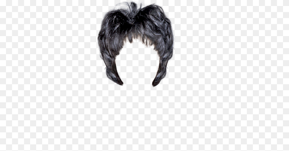 Wig, Animal, Bird Png