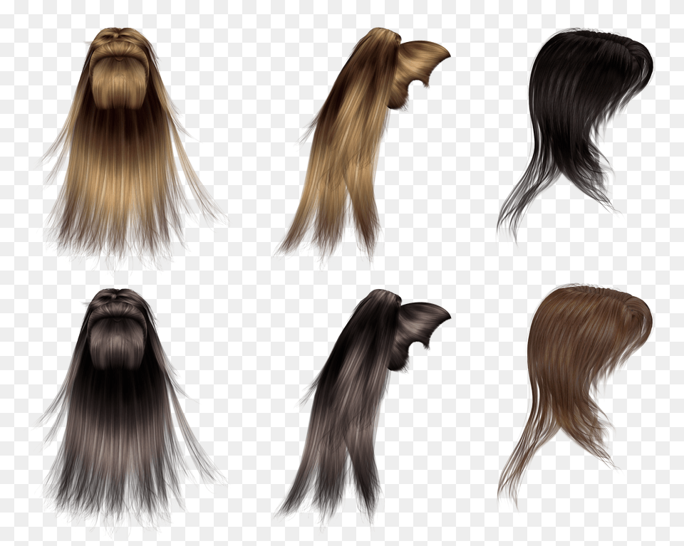 Wig, Adult, Female, Person, Woman Png