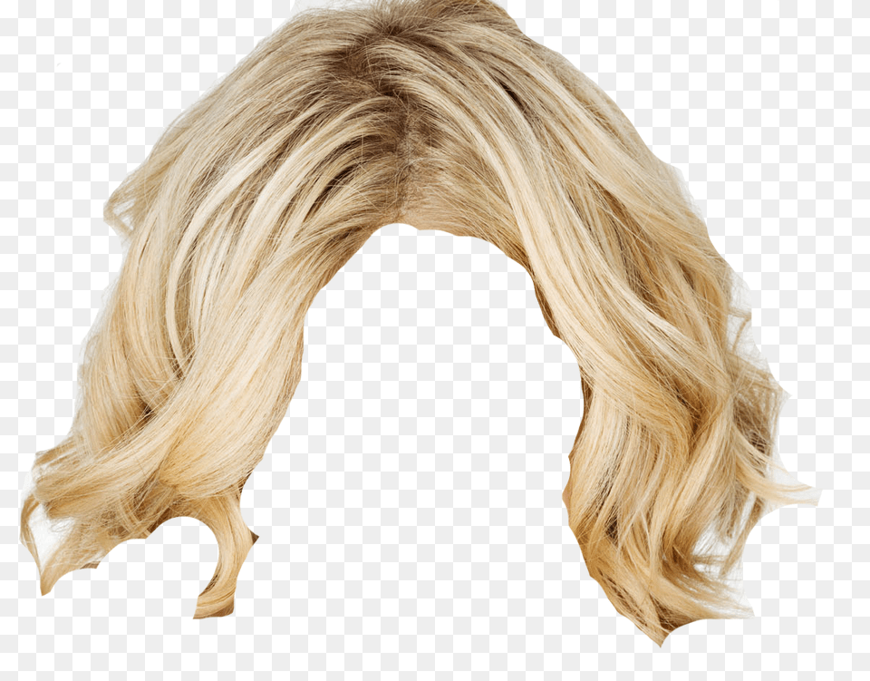 Wig, Adult, Portrait, Photography, Person Free Png Download