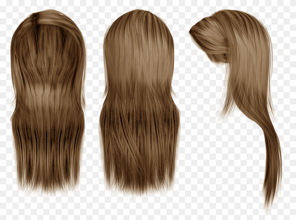 Wig, Adult, Female, Hair, Person Free Png