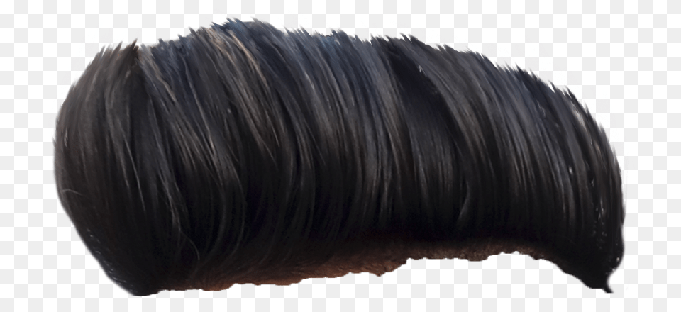 Wig, Black Hair, Hair, Person, Adult Free Transparent Png