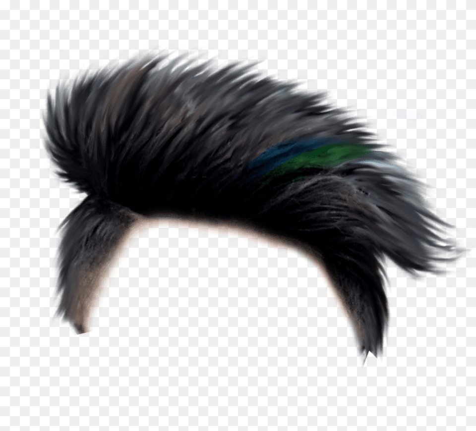 Wig, Hair, Mohawk Hairstyle, Person, Animal Free Png Download