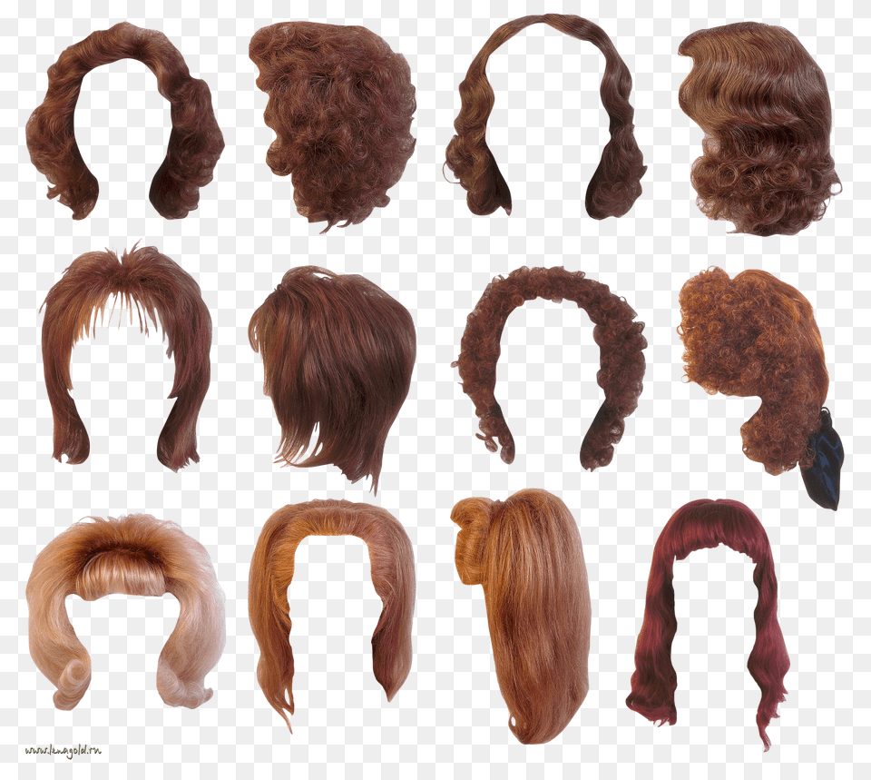 Wig, Adult, Female, Person, Woman Png Image