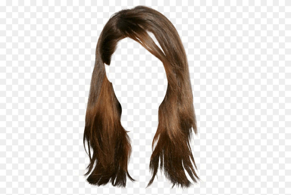 Wig, Person, Hair, Ponytail Png Image