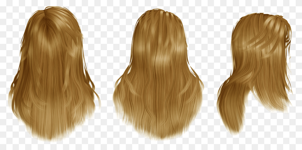 Wig, Adult, Female, Hair, Person Png Image