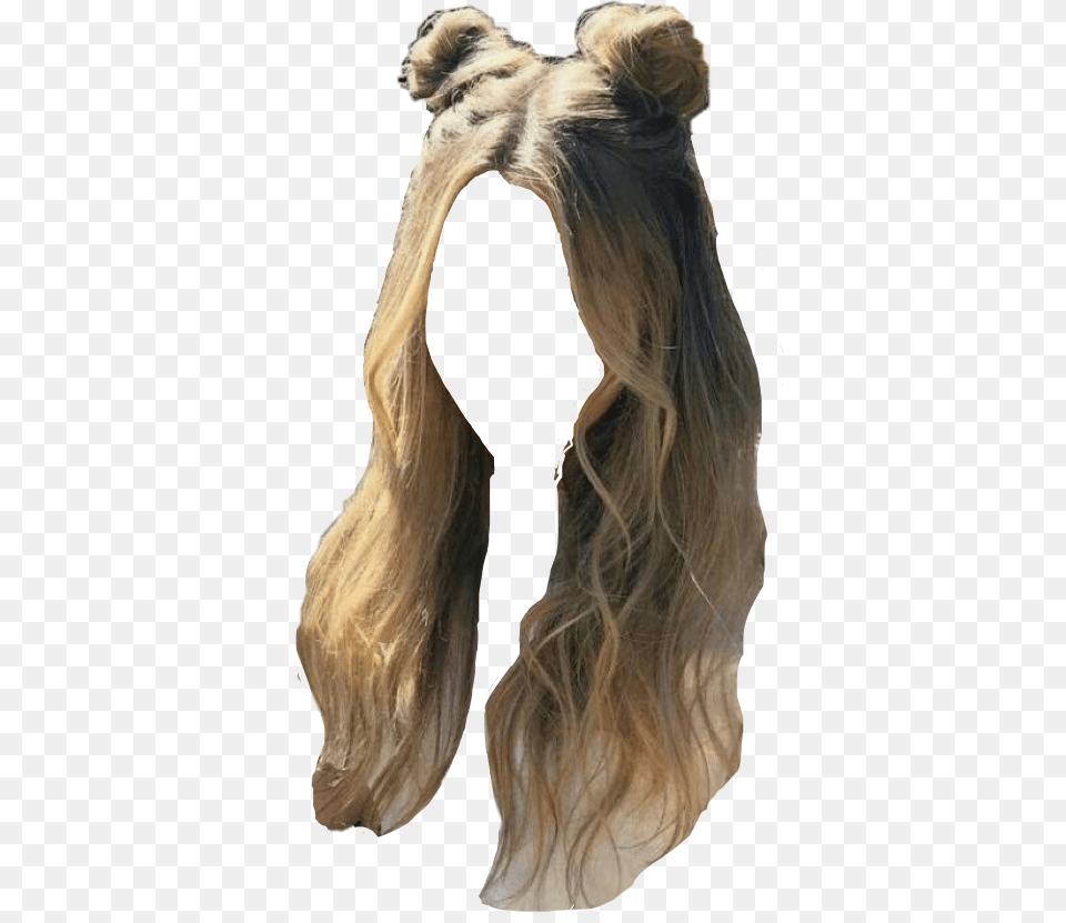 Wig Cut Out Long Hair Cut Out, Adult, Female, Person, Woman Free Transparent Png