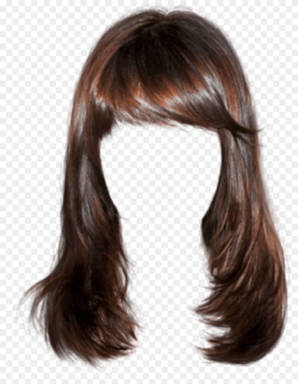 Wig Hair Brown Brunette Hair Adult, Female, Person, Woman Free Transparent Png