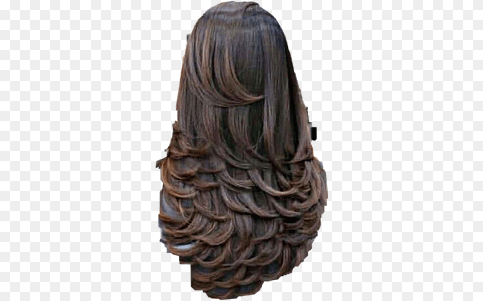 Wig Hair Waves Curls Brunette Longhair Freetoedit Hi Tech Salon In Rajkot, Adult, Female, Person, Woman Free Png Download