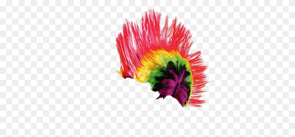 Wig Punker Rainbow, Dye, Flower, Plant, Art Free Transparent Png