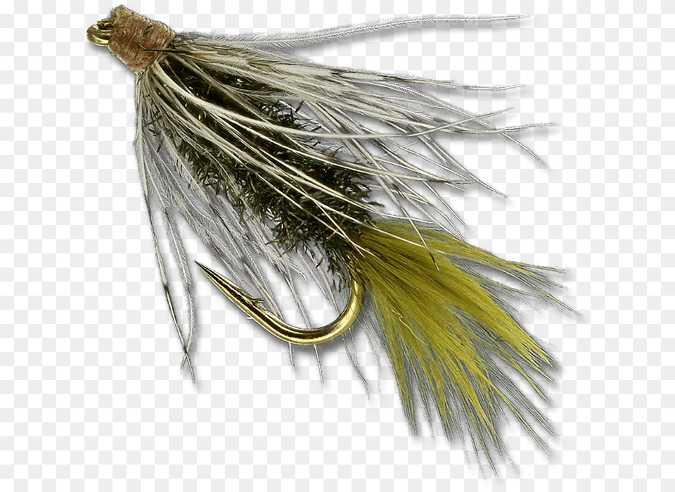 Wiggletail Peacock Feather, Animal, Bird, Fishing Lure, Electronics Png