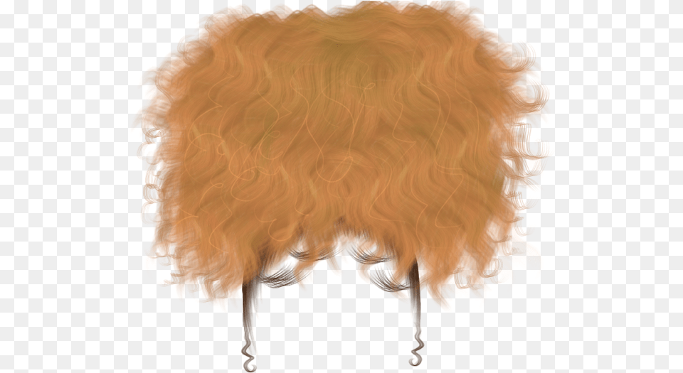Wigs Front Angles Pg2 Shoptoribandz Wigs Baddie Hair Design, Person, Accessories, Fire, Flame Free Png Download