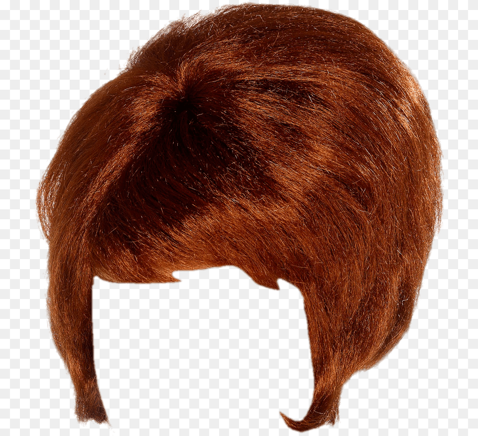 Wigs Transparent Background, Animal, Canine, Dog, Hair Png Image