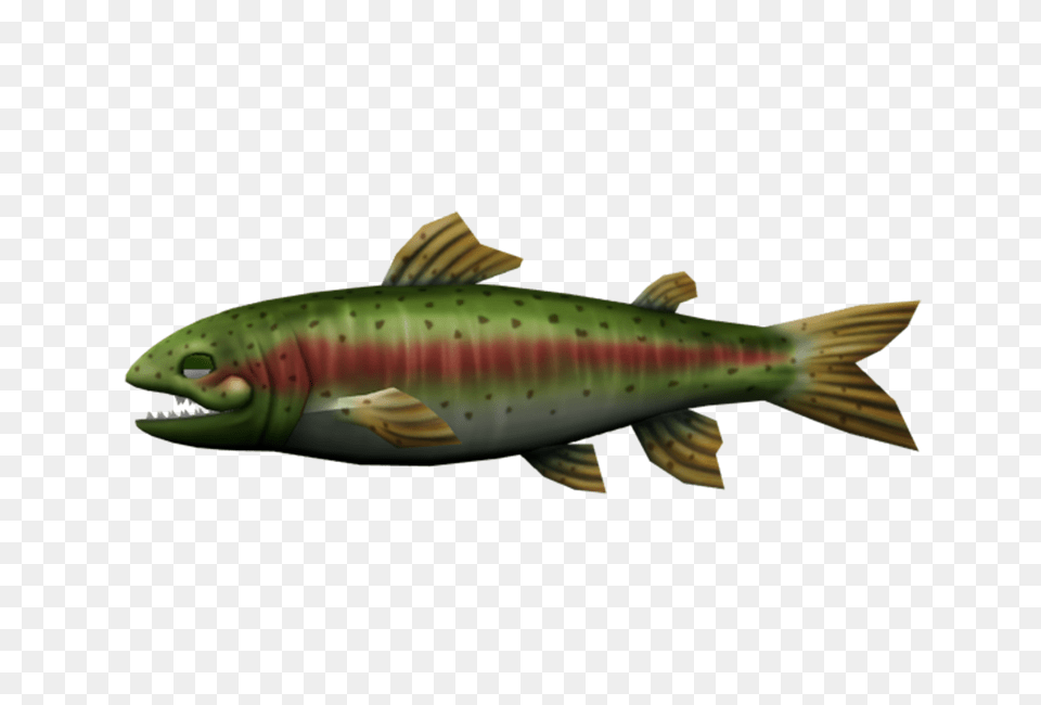 Wii, Animal, Fish, Sea Life, Trout Png