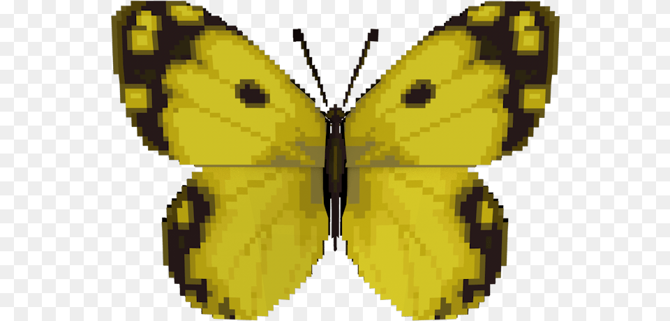 Wii Animal Crossing City Folk Yellow Butterfly The Animal Crossing Yellow Butterfly, Insect, Invertebrate, Moth, Person Free Transparent Png