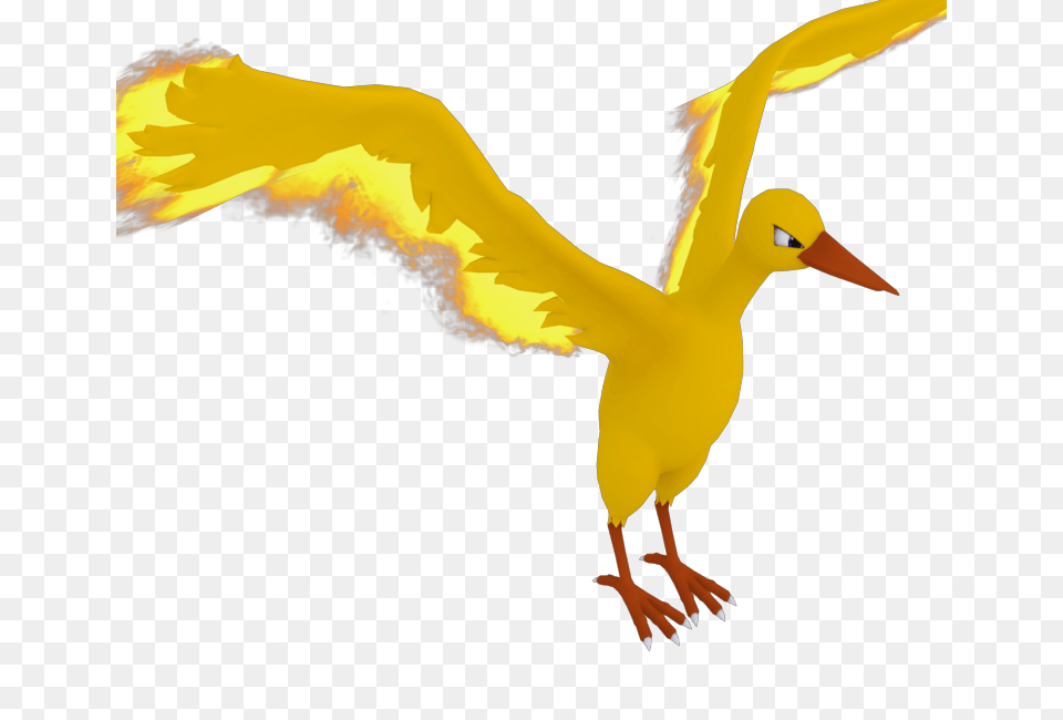 Wii U, Animal, Beak, Bird, Waterfowl Png Image