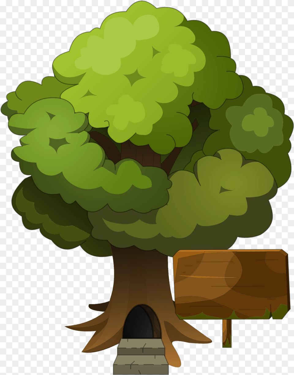 Wiki, Green, Plant, Potted Plant, Tree Free Transparent Png