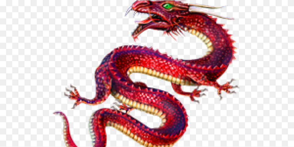 Wiki, Dragon, Person Png